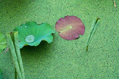 率先踏上恐怖之旅！《时间旅者：重生曙光》豪华版现已解锁